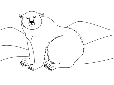 Polar Beer Coloring Page